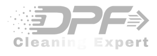 DPF logo grey